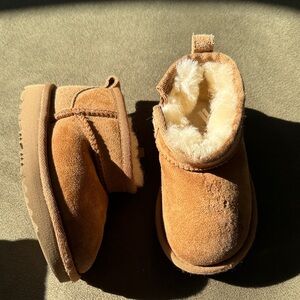 Toddler Ugg Ultra Minis